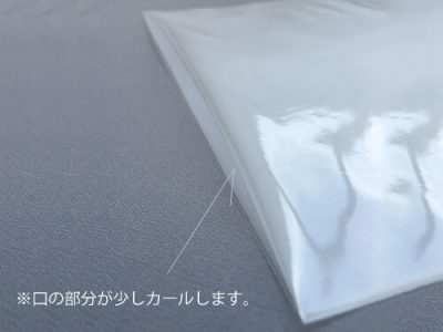 帯電防止ナイロンクリーンポリ袋